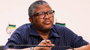 We don't owe R102m, this is fraud, says Fikile Mbalula on ANC asset  attachment order | News24