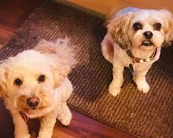 24 Hours: Nina Morrison