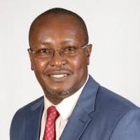 300+ "Arts" profiles