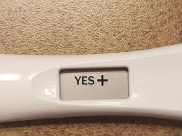Photo Gallery First Response Gold Digital Search Results Page 2 Countdown To Pregnancy