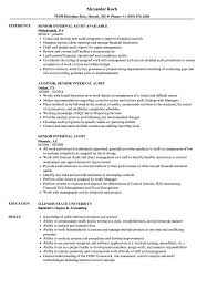 Use the internal audit resume sample below, replace the information with relevant data about you and match your skill set, certificates and experience with the job description. Senior Internal Audit Resume Samples Velvet Jobs