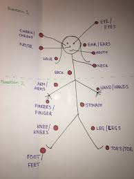 Learning the words for different body parts may not be the first thing you learn in french, but knowing them is essential. French Body Parts Diagram Quizlet