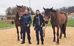 Unfälle heute, vermisstmeldungen, verkehrsunfälle, arbeitsunfälle, zeugenaufrufe, fahndungen, warnungen und . 13 2017 Zolliker Polizei Sattelt Um Zolliker Zumiker
