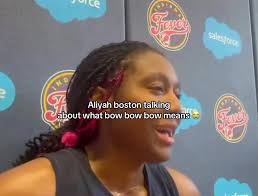 What Does Bow Bow Bow Mean