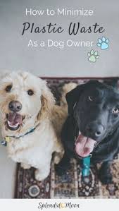 Minimizing Plastic Waste As A Dog Owner A Complete Guide Eco Friendly Cleaning Products Plastic Waste Environmentally Friendly Living