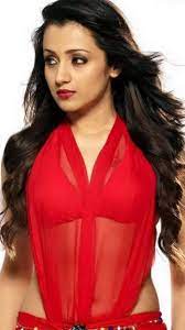 Trisha Krishnan's Mesmerizing Pictures Will Surely Make You Sweat | Times  of India