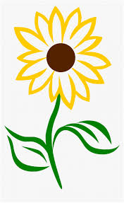 Click to share on twitter (opens in new window) click to share on facebook (opens in new window) click to share on telegram (opens in new window) click to share on whatsapp (opens in new window) related. The Real Reason Behind Simple Sunflower Simple Sunflower Sunflower Coloring Pages Sunflower Sunflower Drawing