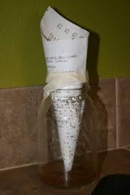 Frugal Natural Pest Control Fruit Flies Ants Be Gone Fruit Fly Trap Natural Pest Control Cleaning