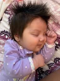 Re-Elect Dave Grendel to Council