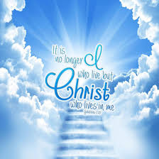 Check spelling or type a new query. Bible Quotes Live Wallpaper For Android Apk Download