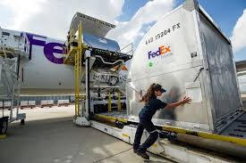 Unloading A Fedex Express Cargo Plane Freighter Vliegtuig