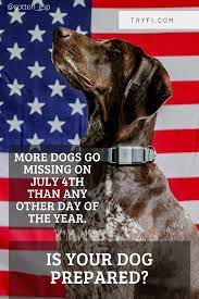 Pin On Healthy Fit Dogs