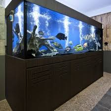 7 ide hiasan aquarium yang nggak menguras dompet. Toko Aquarium 319 Nangka Jl Tuanku Tambusai