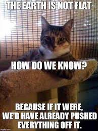 Funny Memes Pictures Funny Animals 3 14 1 Funny Cat Memes Funny Animals Funny Cats