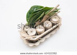 Paan plant care tips and propagation in english. Shutterstock Puzzlepix