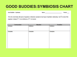 19 Explanatory Druid Symbiosis Chart