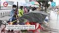 Video untuk Penarik beca di pulau Pinang