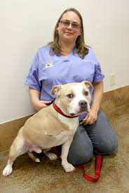 Canine Amputee Is A Therapy Candidate