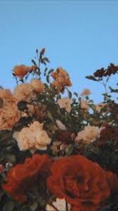 Pinterest Joyful Grace Flower Aesthetic Vintage Flowers Plants