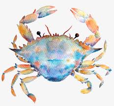 Small tattoo can be very meaningful to many who have decided to sign with the symbol representing the fight against cancer. Cancer Is Known As One Of The Cardinal Signs Meaning Watercolor Zodiac Tattoos Transparent Png 1000x862 Free Download On Nicepng