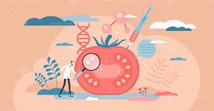 Genetic engineering refers to the direct manipulation of dna to alter an organism's characteristics (phenotype) in a particular way. Pin On Science Tech Illustrated