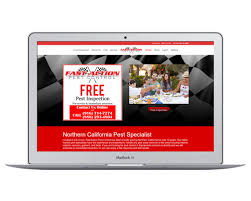 See actions taken by the people who manage and post content. Portfolio Of A Web Designer Blue Frog Web Design