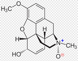 Check spelling or type a new query. Codeine Morphine Opioid Drug Chemical Structure Sirup Angle White Png Pngegg