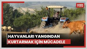 Habertürk - News update