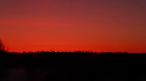 See more ideas about sunset background, sunset, background. Forest Silhouette At Sunset Red Sunset Over Forest Sunset Background Forest Background Forest Silhouette Forest Sunset Horizon Line At Sunset Red Sky Beautiful Evening Sky With Red Sunset Stock Video Footage