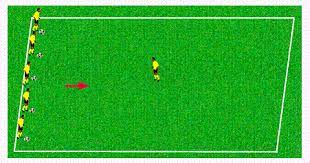 Sharks And Minnows