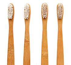 Signs it's time to replace your brush include lost bristles, discoloration or unusual smells. The Truth About Your Biodegradable Bamboo Toothbrush My Plastic Free Life