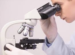 Top Fetal 2d Echo in Thane West