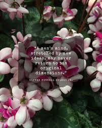 "A man's mind, stretched by new ideas, may never return to its original  dimensions."