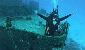 You See What You Did Wrong There You Assumed Bill Y Has A Personality Underwater Photography Diving Underwater
