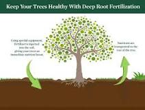 Image result for deep root fertilization