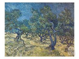Olivenbaeume Les Oiliviers 1889 Giclee Print Vincent Van Gogh Art Com Van Gogh Art Vincent Van Gogh Art Van Gogh Paintings