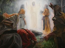 En español 1, 2, and 3 john 1 & 2 thessalonians 1 & 2 timothy 1 peter 2 peter, jude 1 corinthians 2 holy spirit, disciple's guide isaiah james jacob jesus and the kingdom john's gospel john's letters joshua lamb of god listening for god's voice. Peter The Rock The Gospel Story With Bible Study Questions