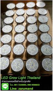 We did not find results for: Led Grow Light Thailand Inspired By Lnwshop Com