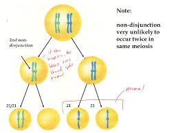 Down Syndrome Ppt Video Online Download
