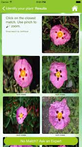 Garden Answers Plant Id Education Lifestyle Apps Ios Plant Identification Plants Garden