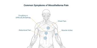 Sharp pains may be due to kidney stones or breakthrough of the weak parts of the. Discomfort In Lower Left Abdominal Area 14 Reasons Alexislhtl225 Over Blog Com