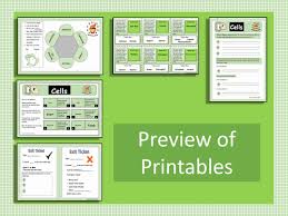 (a) cell division and differentiation in animals Plant And Animal Cells Structure And Differences Ks3 Teaching Resources