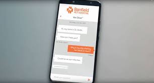 Plus, ashleigh banfield talks with actor john stamos. Banfield Launches Telehealth Service For On Demand Veterinarian Support