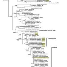 Ships from and sold by esbenshades garden center. Pdf Commercial Sphagnum Peat Moss Is A Vector For Exotic Ectomycorrhizal Mushrooms