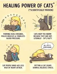 A normal respiratory rate varies depending on a person's age and activity levels. Pets Pets Pets Amityville Record