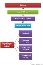 Board Directors Corporate Hierarchy Corporate Org Chart
