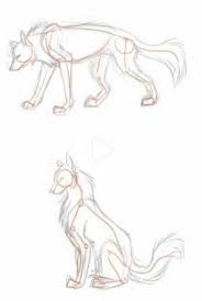 Pin On Animals