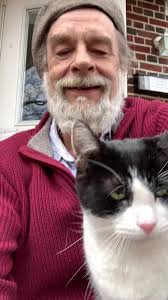 Old Cat with Chinese Beard