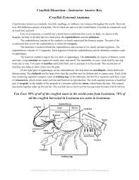 I usually order mine from carolina carolina. Crayfish Dissection Instructor Answer Key Crayfish External Anatomy