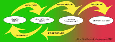 Most guidelines suggest that women begin screening for cervical cancer and precancerous changes at age 21. The Hpv Vaccine Should Be Preventing Cervical Cancer Can We Tell Whether It Actually Is Absolutely Maybe
